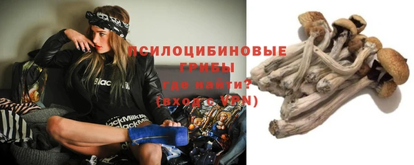 ешки Володарск