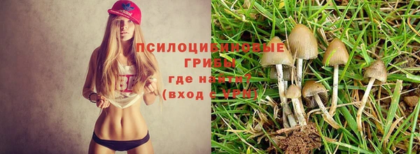 ешки Володарск