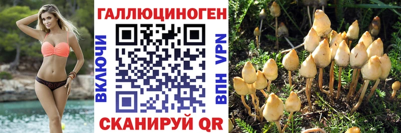 Купить где  Волгодонск  Псилоцибиновые грибы ЛСД 